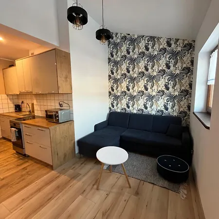Luxury Spacious Apartment *